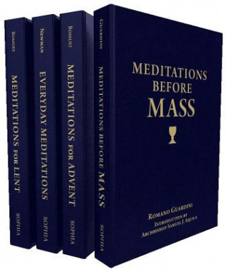 Könyv The Treasury of Catholic Meditations John Henry Newman