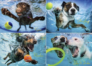 Kniha Underwater Dogs 2 Jigsaw Puzzle Seth Casteel