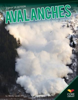 Książka Avalanches Wendy Lanier
