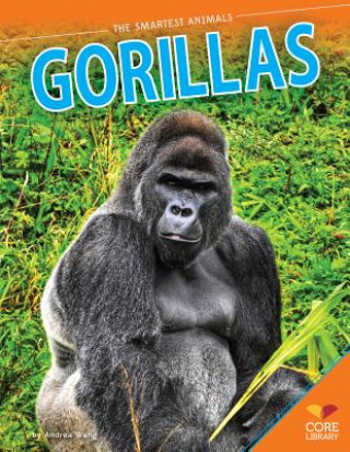 Boek Gorillas Andrea Wang
