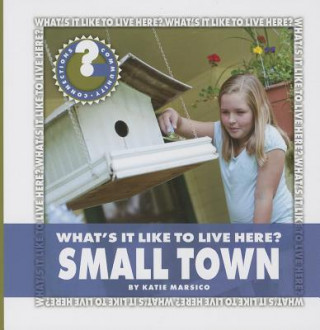 Книга What's It Like to Live Here? Small Town Katie Marsico