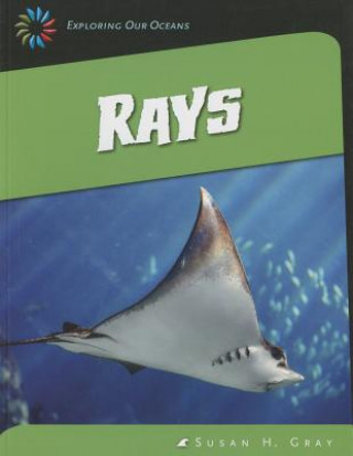 Knjiga Rays Susan H. Gray