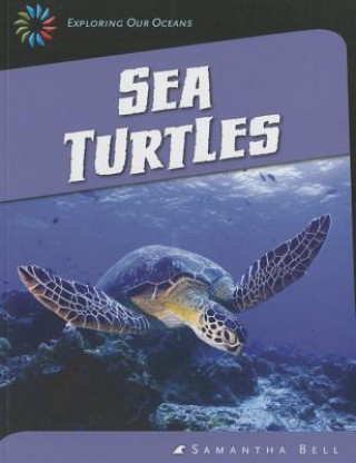 Carte Sea Turtles Samantha Bell