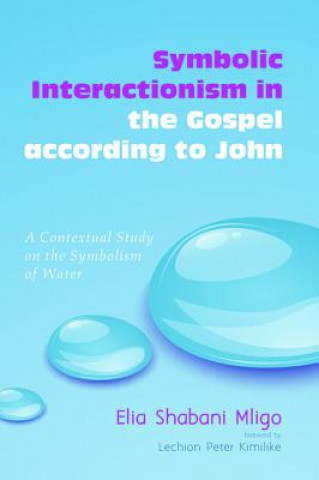 Buch Symbolic Interactionism in the Gospel According to John Elia Shabani Mligo