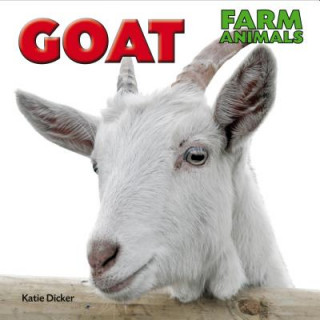 Kniha Goat Katie Dicker