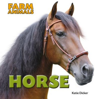 Carte Horse Katie Dicker