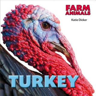 Könyv Turkey Katie Dicker