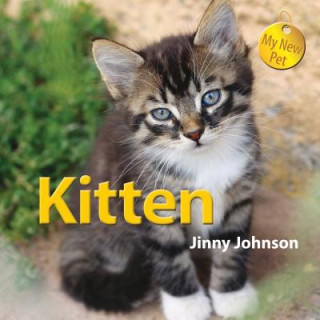 Książka Kitten Jinny Johnson