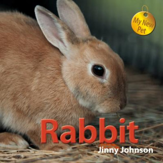 Книга Rabbit Jinny Johnson