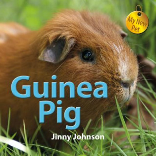 Książka Guinea Pig Jinny Johnson