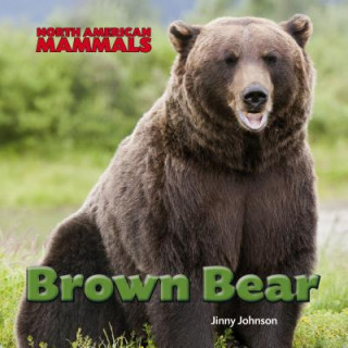 Carte Brown Bear Jinny Johnson