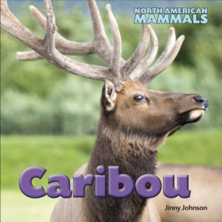 Kniha Caribou Jinny Johnson
