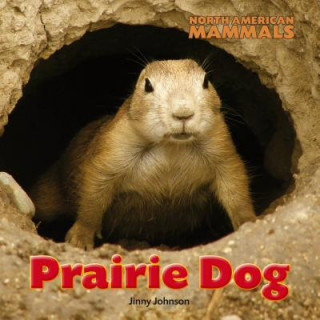 Kniha Prairie Dog Jinny Johnson