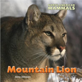 Kniha Mountain Lion Jinny Johnson