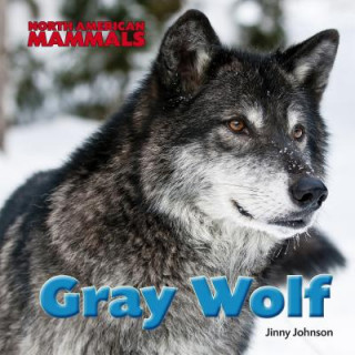Книга Gray Wolf Jinny Johnson