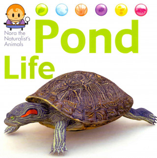 Book Pond Life David West