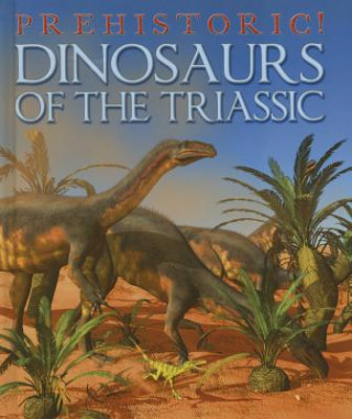 Książka Dinosaurs of the Triassic David West