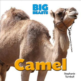 Kniha Camel Stephanie Turnbull