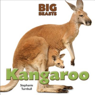 Kniha Kangaroo Stephanie Turnbull