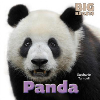 Kniha Panda Stephanie Turnbull