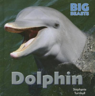 Книга Dolphin Stephanie Turnbull