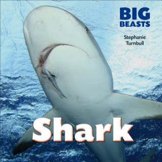 Knjiga Shark Stephanie Turnbull