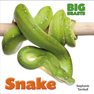 Buch Snake Stephanie Turnbull