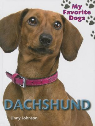 Knjiga Daschund Jinny Johnson