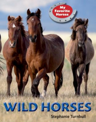 Carte Wild Horses Stephanie Turnbull