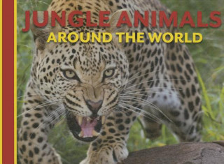 Könyv Jungle Animals Around the World David Alderton