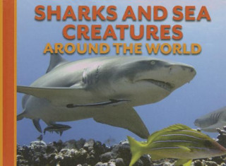 Carte Sharks and Sea Creatures Around the World David Alderton