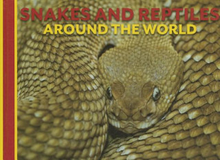 Kniha Snakes and Reptiles Around the World David Alderton
