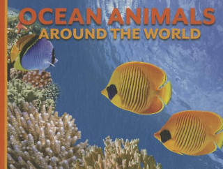 Carte Ocean Animals Around the World Ed Uttridge