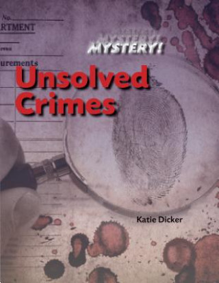 Kniha Unsolved Crimes Katie Dicker