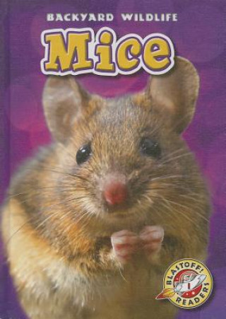Knjiga Mice Kari Schuetz