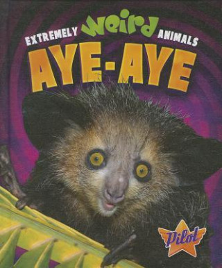 Buch Aye-Aye Lisa Owings