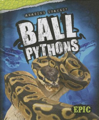 Könyv Ball Pythons Davy Sweazey