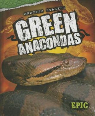 Book Green Anacondas Emily Rose Oachs