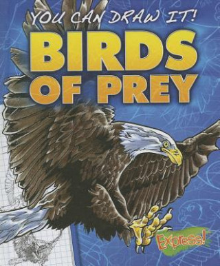 Книга Birds of Prey Steve Porter