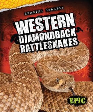 Carte Western Diamondback Rattlesnakes Chris Bowman