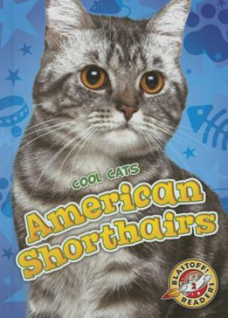 Carte American Shorthairs Christina Leaf
