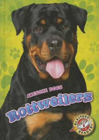 Kniha Rottweilers Mari C. Schuh