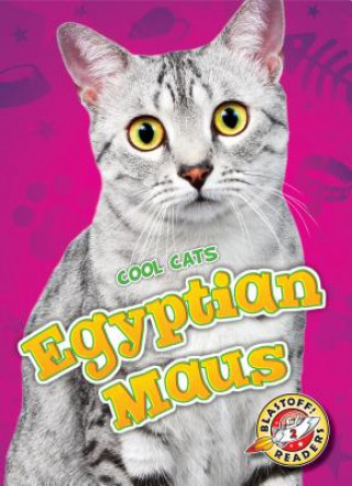Carte Egyptian Maus Domini Brown