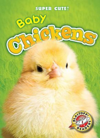 Buch Baby Chickens Megan Borgert-Spaniol