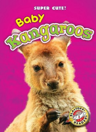 Könyv Baby Kangaroos Megan Borgert-Spaniol