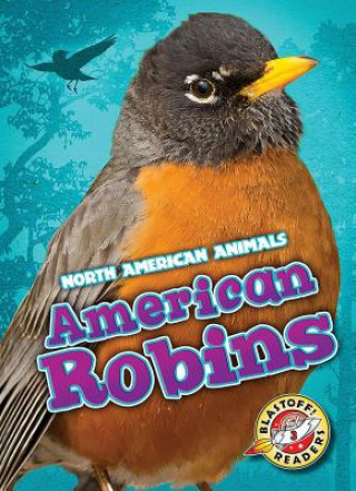 Buch American Robins Megan Borgert-Spaniol