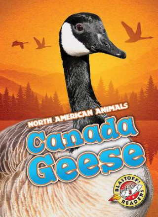 Książka Canada Geese Megan Borgert-Spaniol