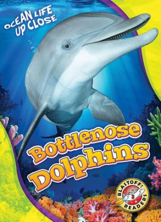 Kniha Bottlenose Dolphins Kari Schuetz