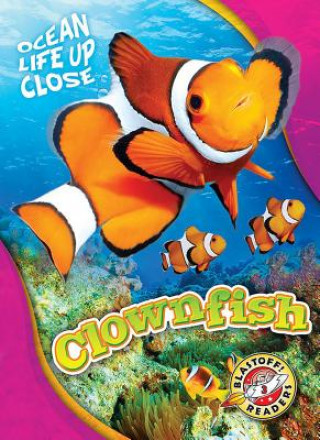 Libro Clownfish Kari Schuetz