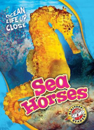 Buch Sea Horses Christina Leaf